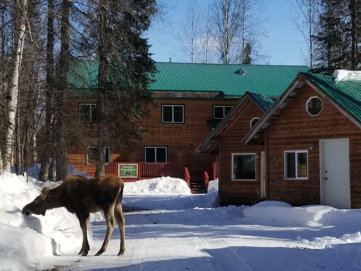 Talkeetna Hideaway Hotel Eksteriør billede
